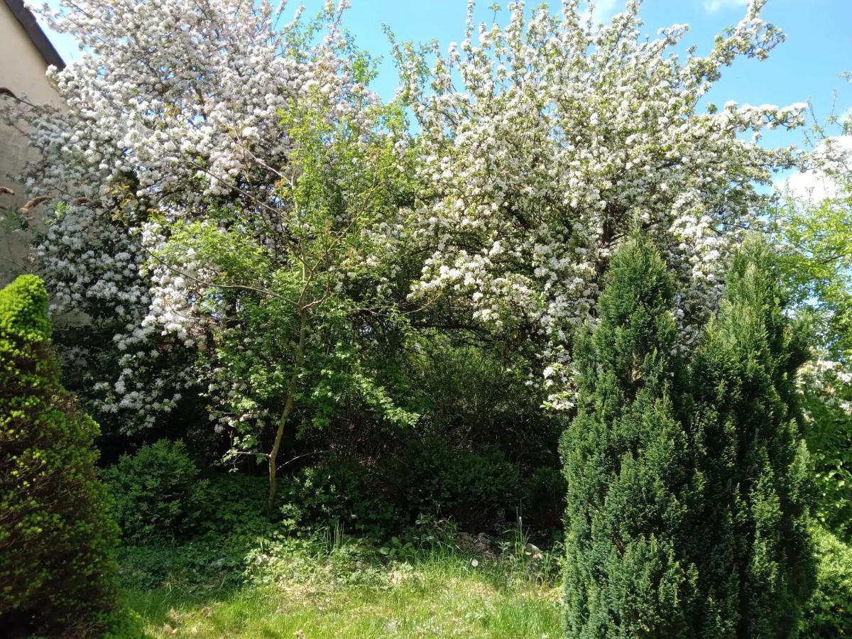 Vakantie Boerderij De Boerenzwaluw Karl エクステリア 写真