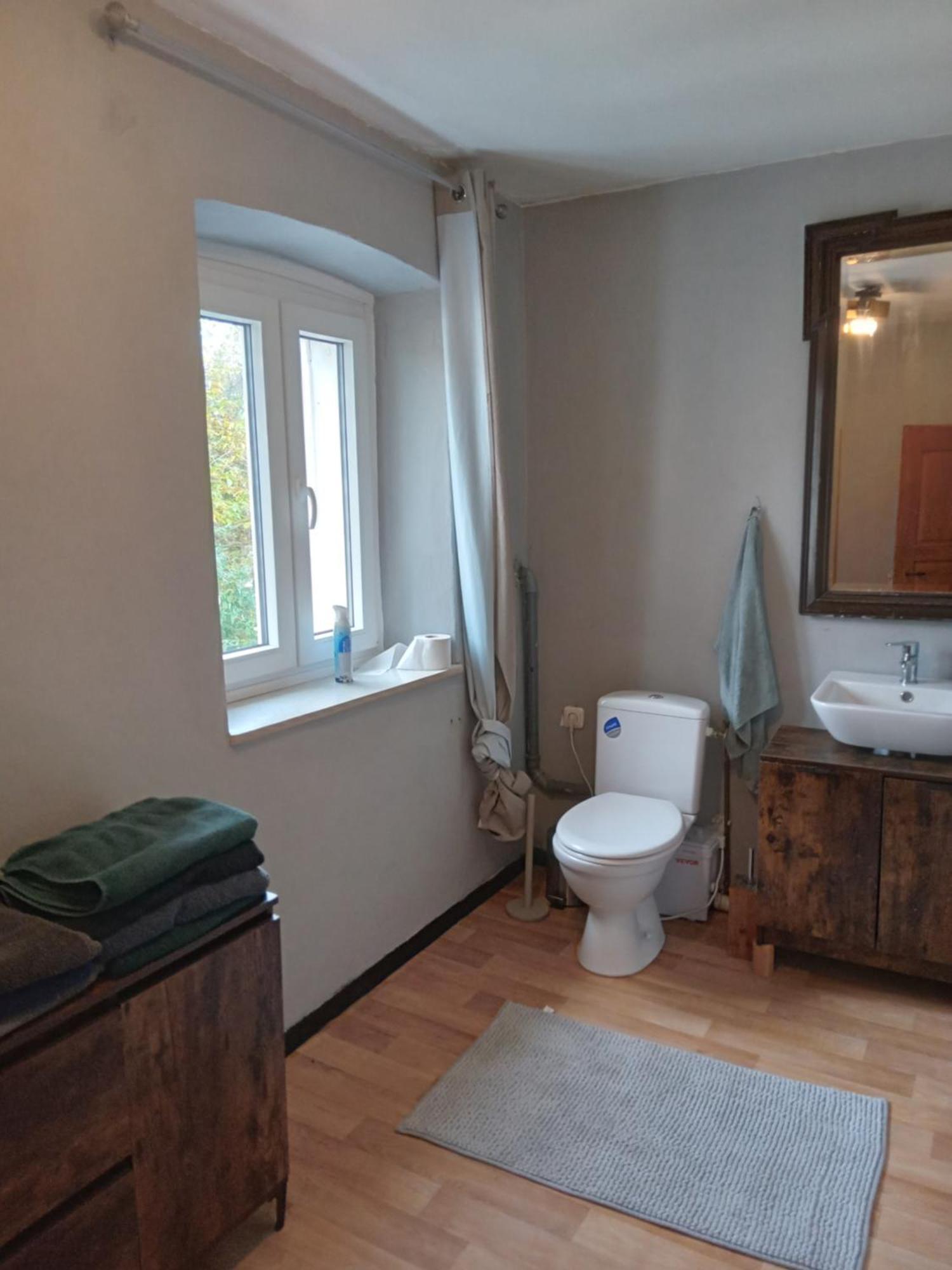 Vakantie Boerderij De Boerenzwaluw Karl エクステリア 写真