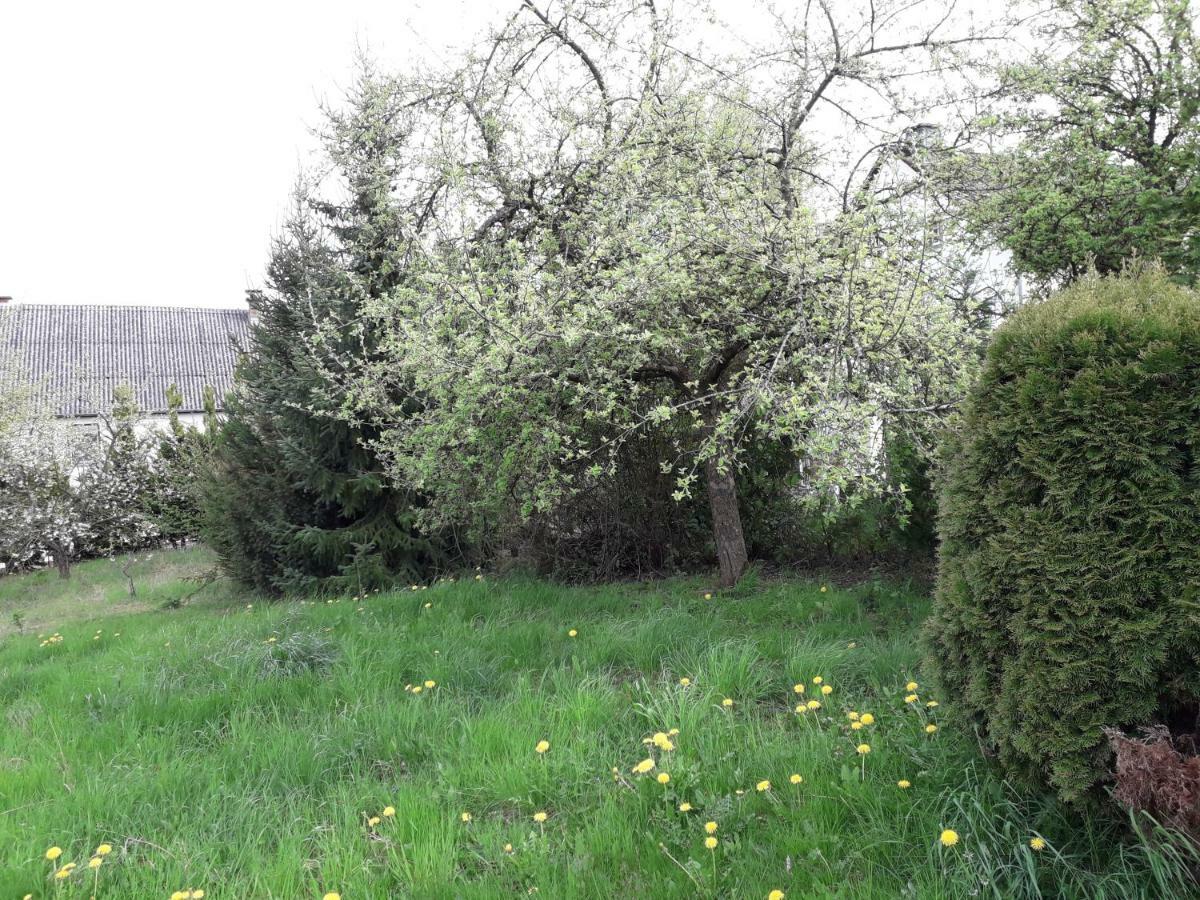 Vakantie Boerderij De Boerenzwaluw Karl エクステリア 写真